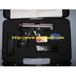 Sig Sauer P 229
