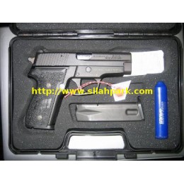 Sig Sauer P228