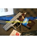 Sig Sauer P229 Elite Stainless