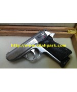 Walther PPK